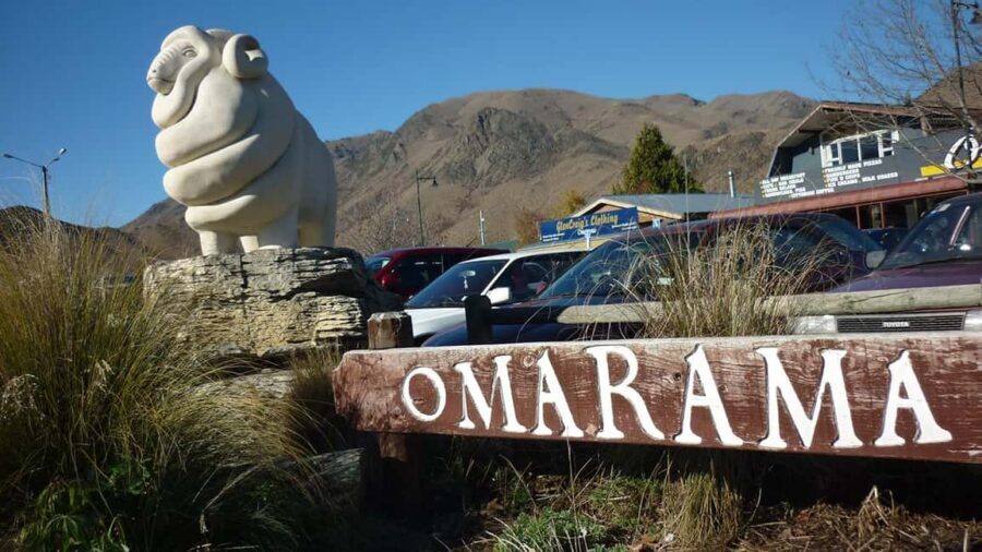 Queenstown: One-Way Tour to Christchurch via Mt Cook - The Experience You Can Expect