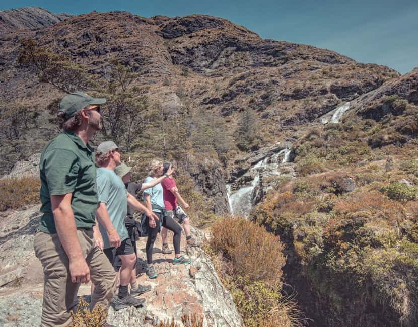 Queenstown: Routeburn Track Guided Full-Day Walk or Half Day - Why This Tour Works