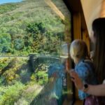 Queenstown to Dunedin Including Train, Small-Group Tour (One-Way) - Who Is This Tour Best Suited For?