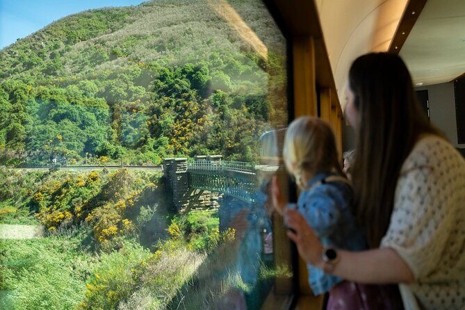 Queenstown to Dunedin Including Train, Small-Group Tour (One-Way) - Who Is This Tour Best Suited For?