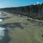 Queenstown to Franz Josef small group tour (one-way) - The Experience from a Traveller’s Perspective