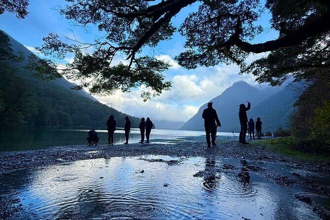Queenstown to Te Anau via Milford Sound inc Cruise & Lunch - Authentic Insights from Reviewers