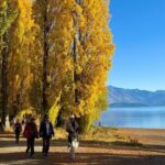 Queenstown to Wanaka One Way Small Group Tour - Cost Analysis and Value