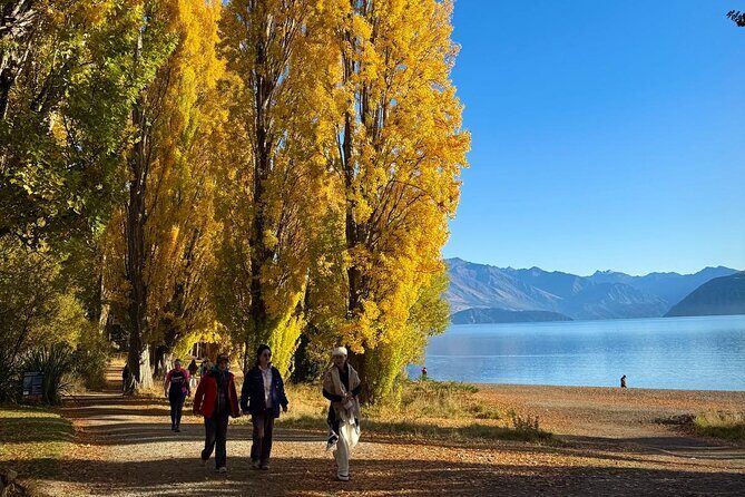 Queenstown to Wanaka One Way Small Group Tour - Cost Analysis and Value