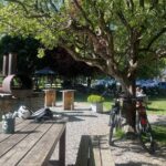 Queenstown Trails E-Bike Rental with Shuttle Service - Pricing and Value