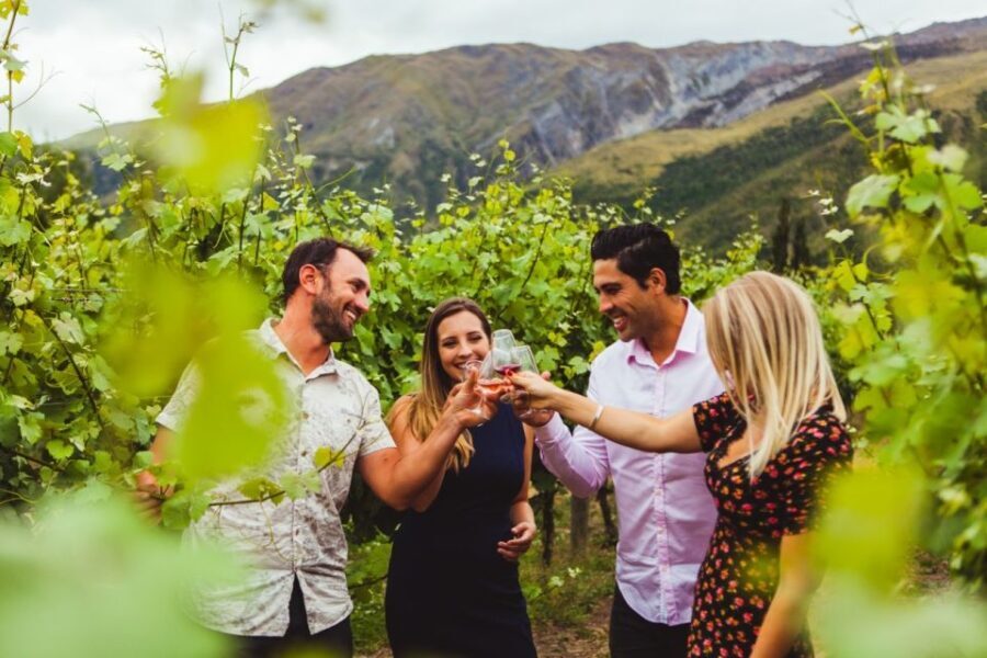 Queenstown: Twilight Wine and Craft Beer Tour - The Value of This Experience