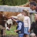 Queenstown: Walter Peak Farm Tour and Lake Cruise - The Experience: A Detailed Breakdown