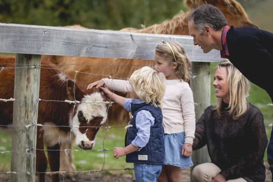Queenstown: Walter Peak Farm Tour and Lake Cruise - The Experience: A Detailed Breakdown