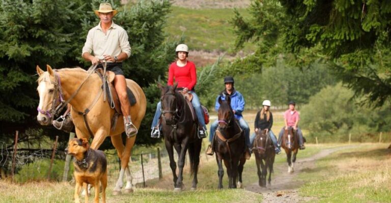 Queenstown: Walter Peak Horse Trek & Queenstown Lake Cruise - An Overview of the Experience