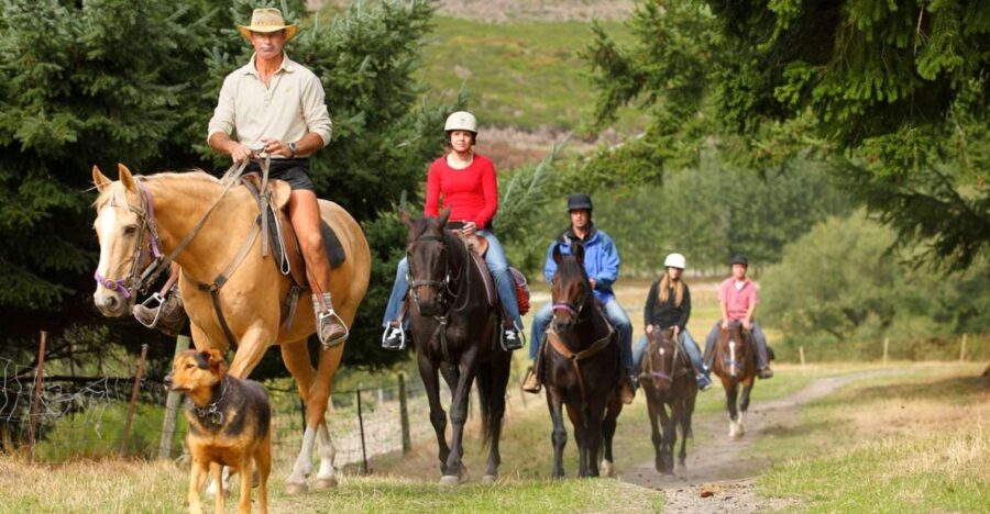 Queenstown: Walter Peak Horse Trek & Queenstown Lake Cruise - An Overview of the Experience