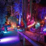 Queenstown: Whimsical Sensory Night Walk at LUMA Enchanted - Practical Details and Logistics