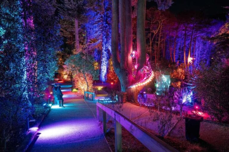 Queenstown: Whimsical Sensory Night Walk at LUMA Enchanted - Practical Details and Logistics