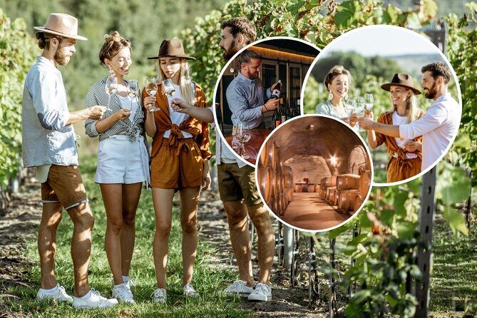 Queenstown Wine Tour with Wine Dog | Adults Only - Is This Tour Worth the Price?