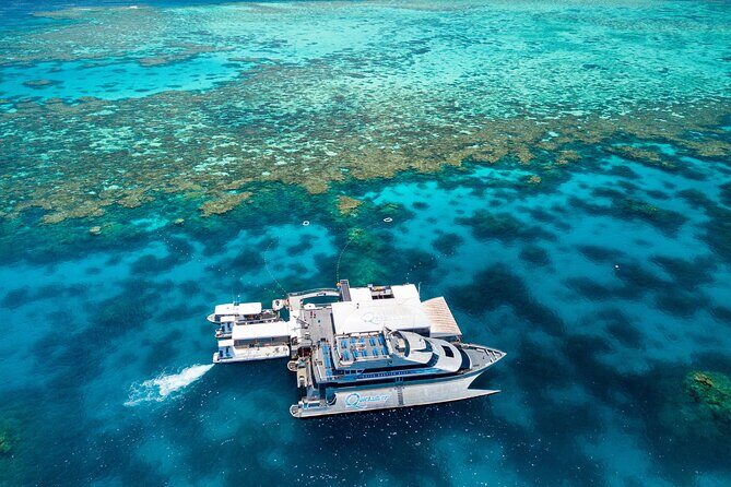 Quicksilver Great Barrier Reef Snorkel Cruise from Port Douglas - Who Is This Tour Best For?