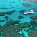 Quicksilver Outer Great Barrier Reef Snorkel Cruise from Palm Cove - Who Will Love This Tour?