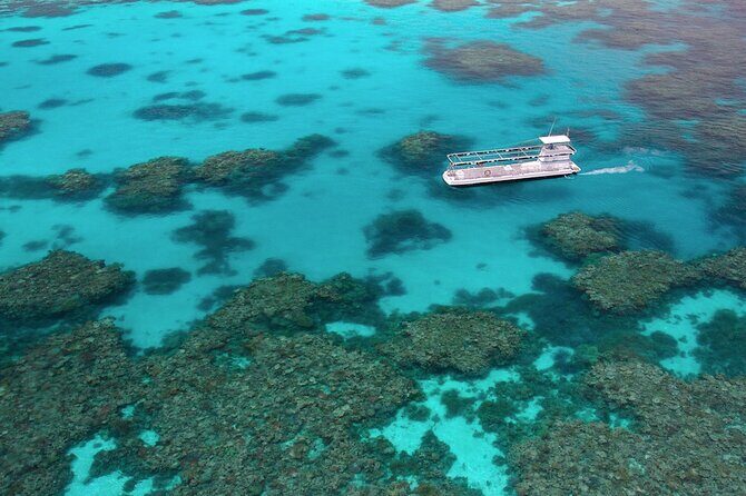 Quicksilver Outer Great Barrier Reef Snorkel Cruise from Palm Cove - Who Will Love This Tour?