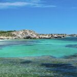 Quokkas Delight Rottnest Island - The Sum Up