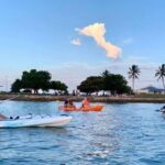Raby Bay Wildlife Kayak Tour - Who Will Appreciate This Experience?