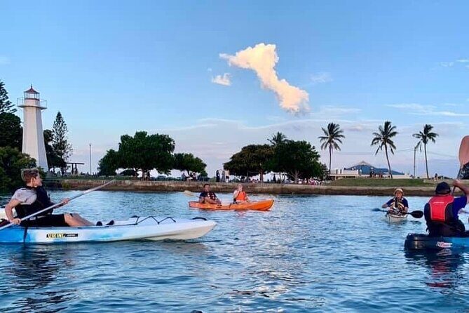 Raby Bay Wildlife Kayak Tour - Who Will Appreciate This Experience?