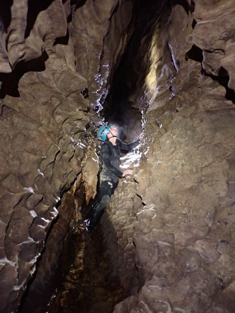 Raglan: Guided Cave Adventure with Glow Worms - An Introduction to the Cave Journey