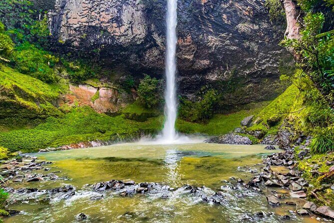 Raglan New Zealand Adventure Tour from Auckland - The Real Deal: What Travelers Are Saying