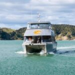 Raglan: Scenic Nature Boat Cruise - Who Would Love This Experience?