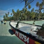 Raiatea-Tahaa Snorkeling in our beautiful Coral Garden - The Practical Details: Transportation, Cost, and Duration