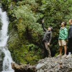 Rangitaiki River: Motu River Jet Boat Tour - What to Expect During the Tour