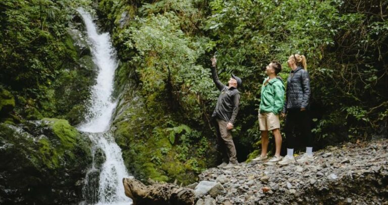 Rangitaiki River: Motu River Jet Boat Tour - What to Expect During the Tour