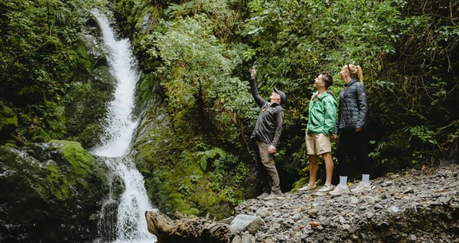 Rangitaiki River: Motu River Jet Boat Tour - What to Expect During the Tour