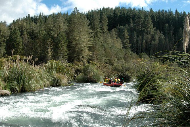 Rangitaiki River White Water Rafting from Rotorua - What Reviewers Say: Authentic Perspectives
