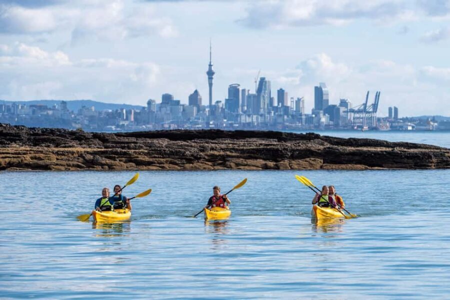 Rangitoto Island: Sea Kayak & Summit Hike Day Trip - What We Love About This Tour