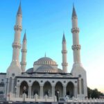 Ras Al Khor Wildlife Sanctuary with Dubai City Tour - Final Thoughts