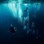 Reef Discovery Half Day Group Signature Tour - Who Would Love This Tour?