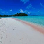 REEF ISLAND | private island | pink sand | natural swimming pools - Practical Tips for Travelers
