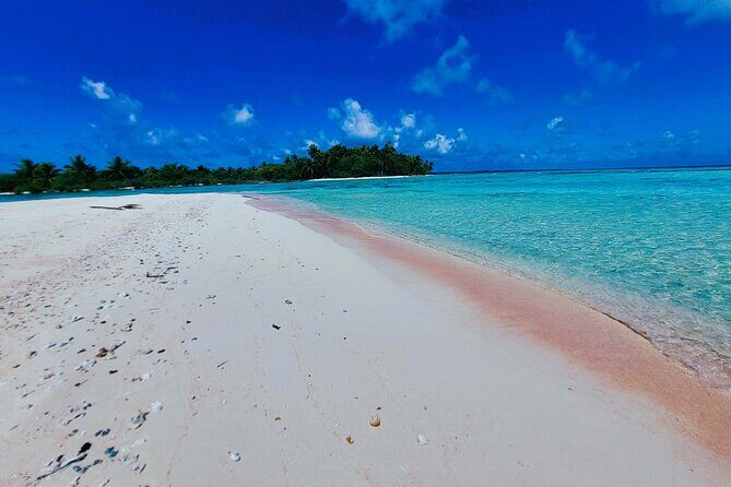 REEF ISLAND | private island | pink sand | natural swimming pools - Practical Tips for Travelers