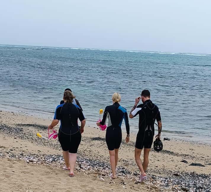 Reef snorkeling in Gatas Bay - What to Expect During the Tour