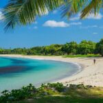 Relaxing Tours in Tropical Paradise Fiji - First Stop: Nadi Produce Markets – A Burst of Local Flavors