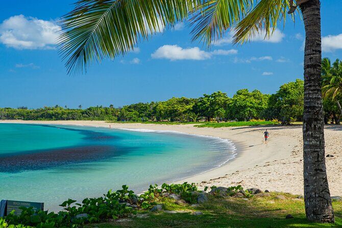 Relaxing Tours in Tropical Paradise Fiji - First Stop: Nadi Produce Markets – A Burst of Local Flavors