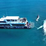 Remote K'gari (Fraser Island) & Whale Experience - Practical Details and Considerations