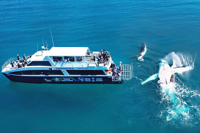 Remote K'gari (Fraser Island) & Whale Experience - Practical Details and Considerations