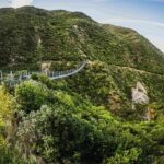 Remutaka Rail Trail eBike Shore Excursion for Cruise Ships - Who Will Love This Tour?