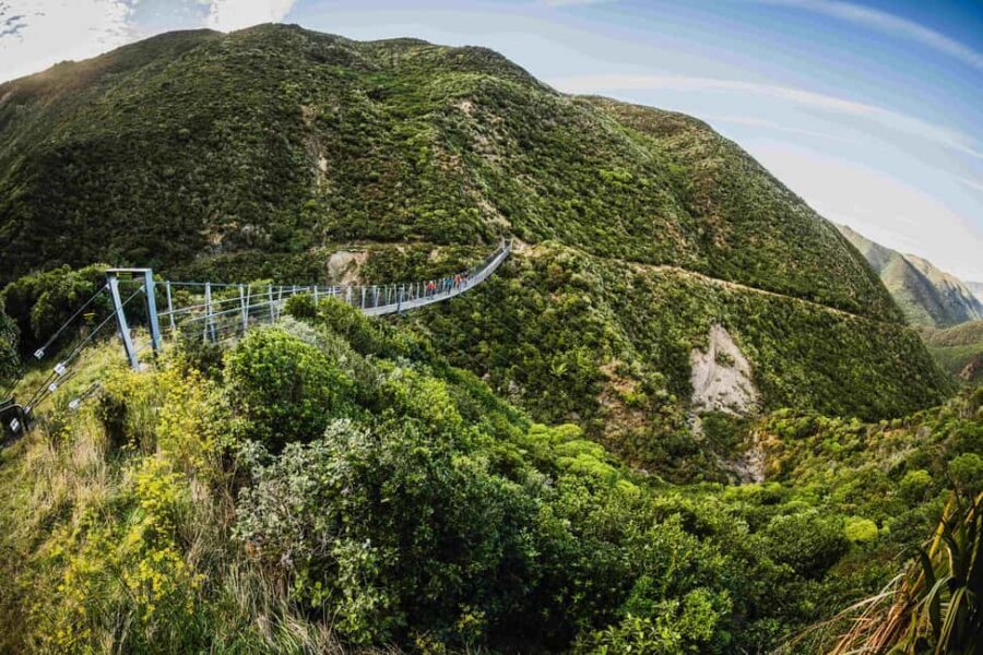 Remutaka Rail Trail eBike Shore Excursion for Cruise Ships - Who Will Love This Tour?