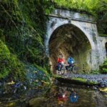 Remutaka Rail Trail Mountain Bike Explorer Cycle Tour - Authentic Feedback from Riders