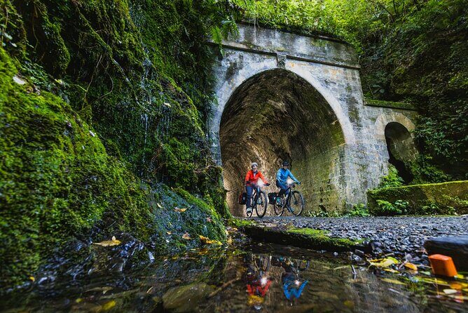 Remutaka Rail Trail Mountain Bike Explorer Cycle Tour - Authentic Feedback from Riders