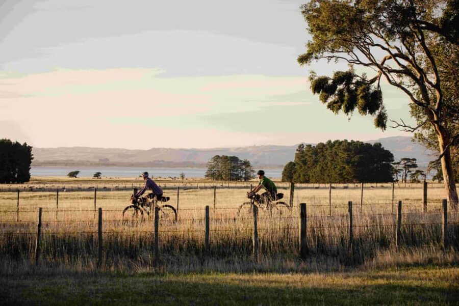 Remutaka Rail Trail Mountain Bike Explorer - What Makes This Tour Stand Out?