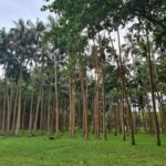 Reunion Island: Full-Day Tour - Volcanic and Coastal Landscapes