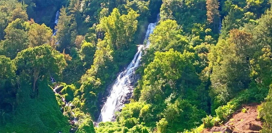 Reunion Island: Salazie Sightseeing tour with driver guide - Is This Tour Worth the Price?