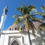 Réunion Island: Temples and religions Half-day tour - Authentic Insights from Travelers and Guides