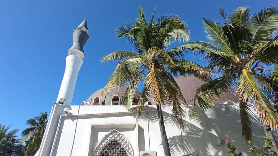 Réunion Island: Temples and religions Half-day tour - Authentic Insights from Travelers and Guides